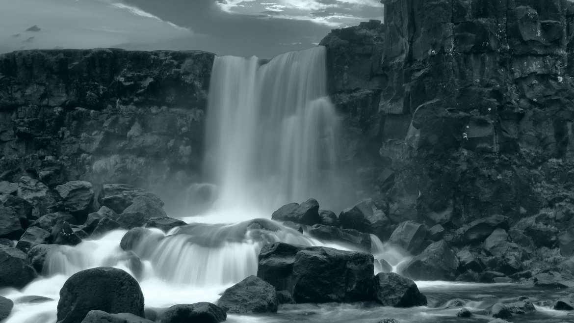 Wild Iceland